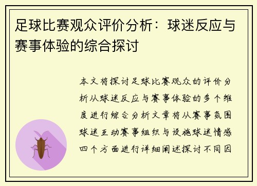 足球比赛观众评价分析：球迷反应与赛事体验的综合探讨