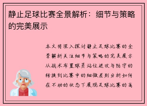 静止足球比赛全景解析：细节与策略的完美展示